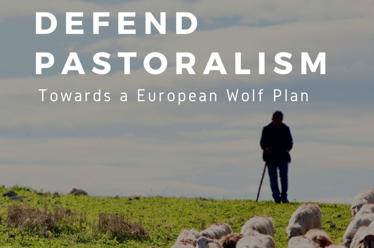 Poster der Veranstaltung: Defend Pastoralism im Europäischen Parlament (Ausschnitt)