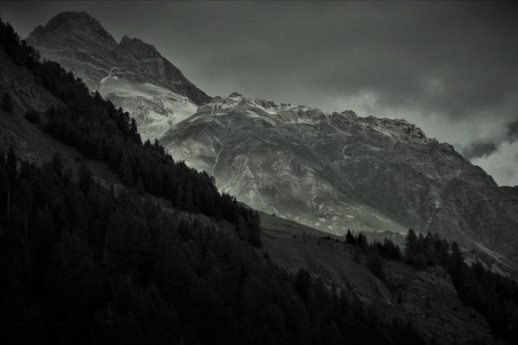 Im Hochgebirge ist ein Jäger einem Herzinfarkt erlegen (Symbolfoto: pasja1000/pixabay.com).