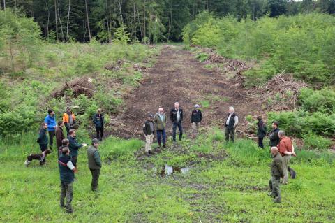 Auf bereits wieder teilbestockten Freiflächen im Klever Reichswald wurde intensiv über das Management von Jagdschneisen diskutiert. (Foto: M. Meyer)