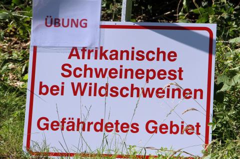 Im Kreis Recklinghausen und im Rheinisch Bergischen Kreis fand eine ASP-Übung statt.