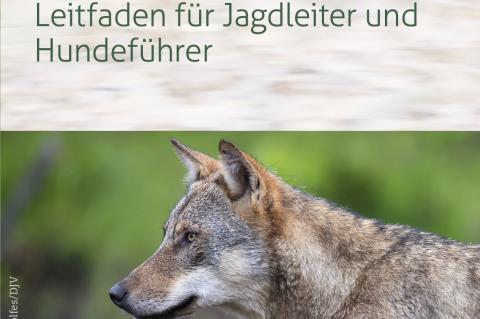 DJV-Flyer Hundearbeit im Wolfsgebiet